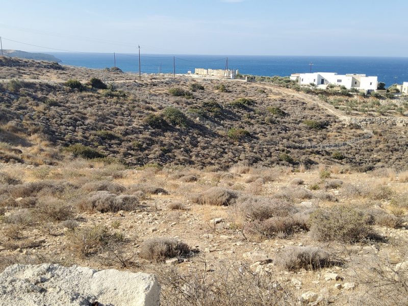 Sea view Plot for sale in Kalamaki-Pitsidia South Crete