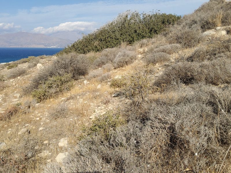 Sea view Plot for sale in Kalamaki-Pitsidia South Crete