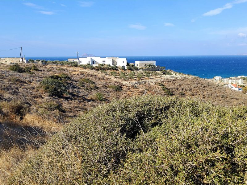 Sea view Plot for sale in Kalamaki-Pitsidia South Crete