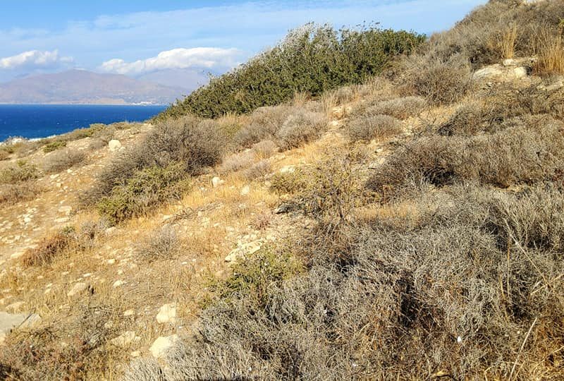 Sea view Plot for sale in Kalamaki-Pitsidia South Crete