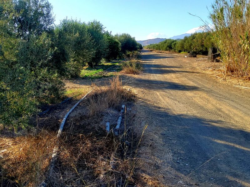 Agricultural Plot for sale with olive trees in Petrokefali South Crete No 1