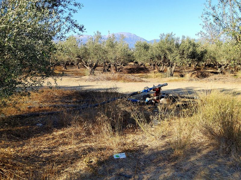 Agricultural Plot for sale with olive trees in Petrokefali South Crete No 1