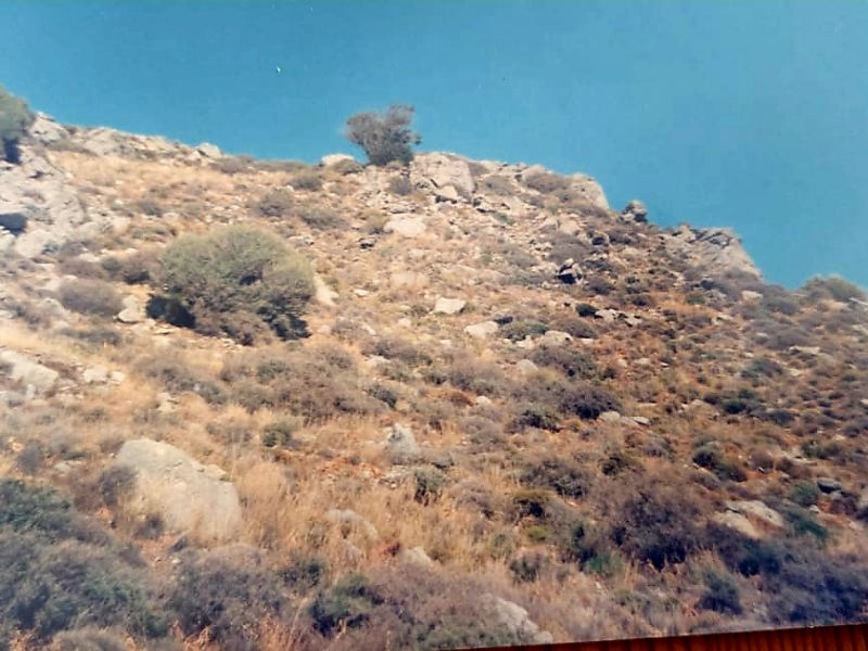 For Sale: 23,000 m² Land near the Lion Rock of Lentas (South Crete)