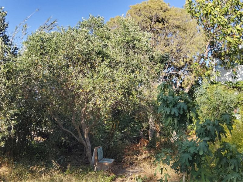 House for sale in Kamilari South Crete with sea view