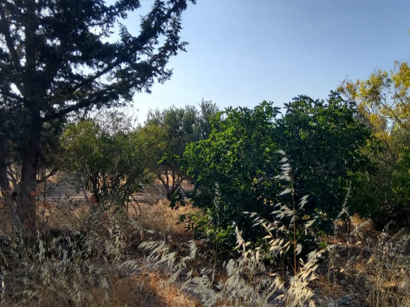 House for sale in Kamilari South Crete with sea view