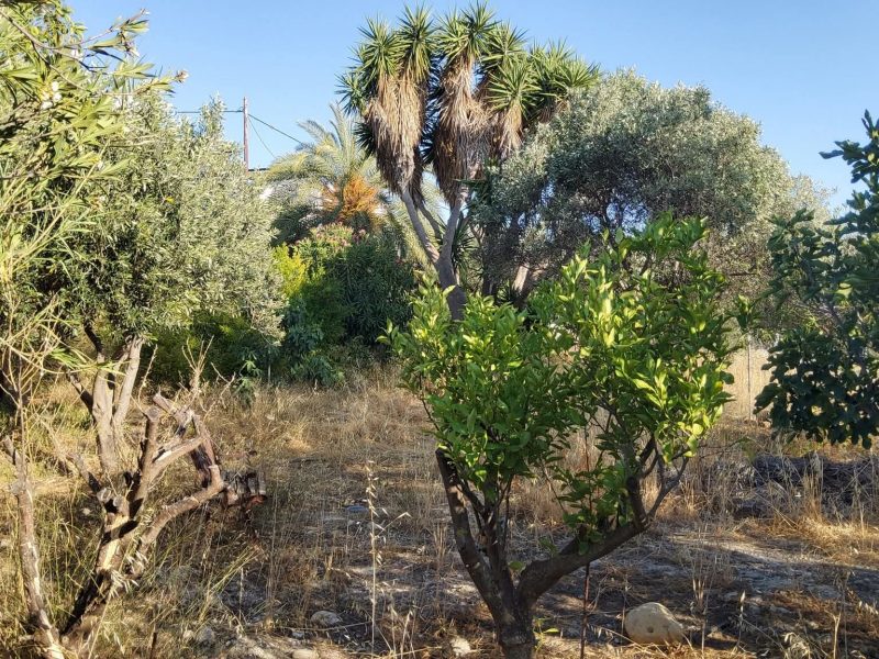 House for sale in Kamilari South Crete with sea view