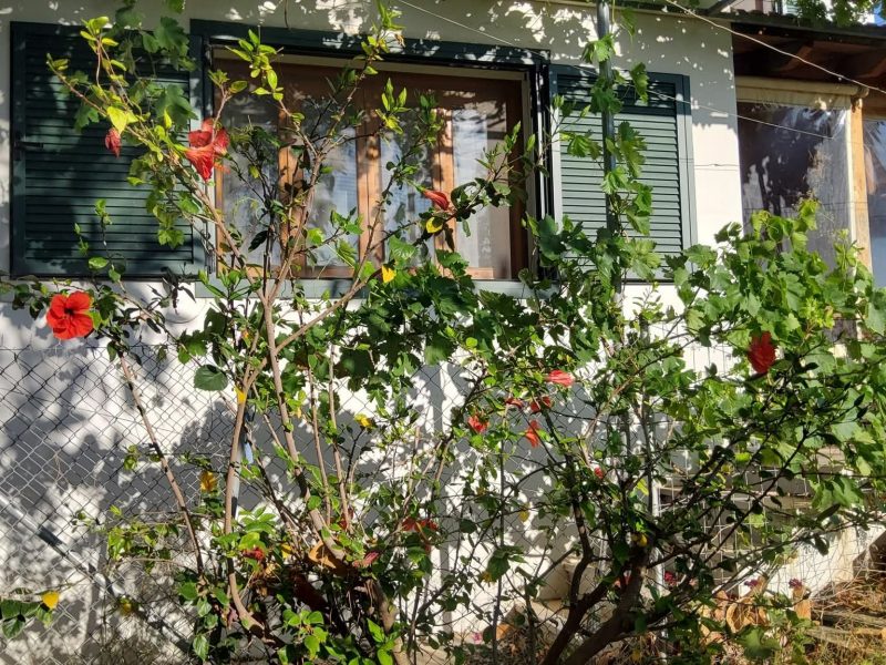 House for sale in Kamilari South Crete with sea view
