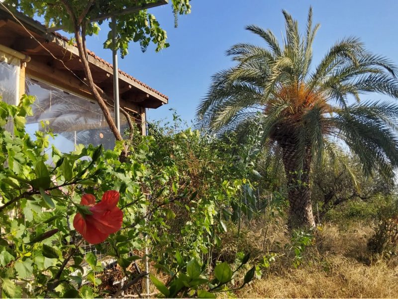 House for sale in Kamilari South Crete with sea view
