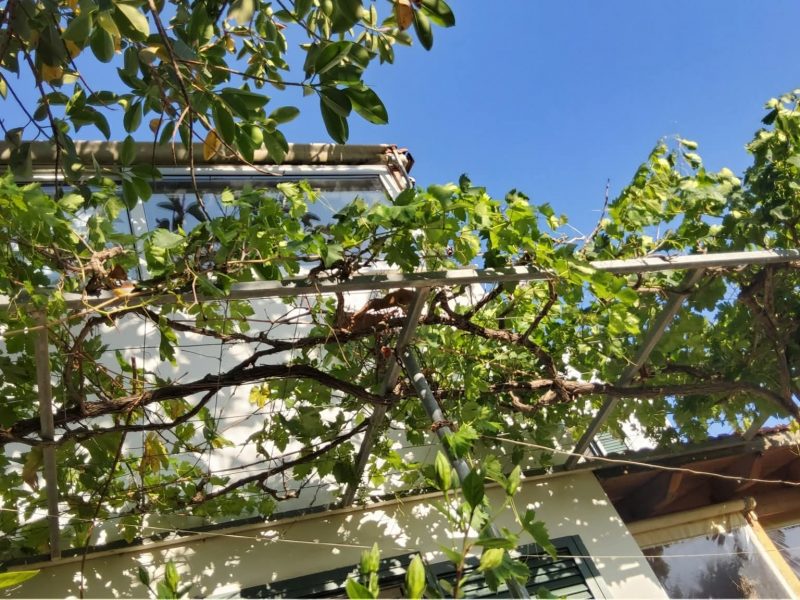 House for sale in Kamilari South Crete with sea view