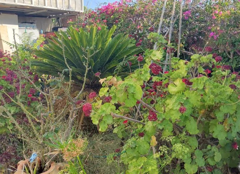 House for sale in Kamilari South Crete with sea view