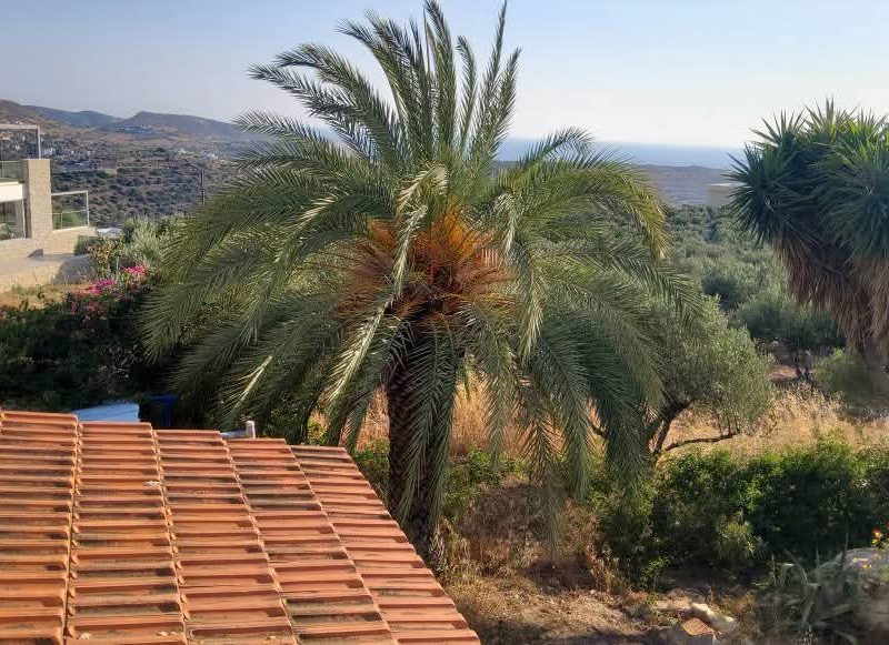 House for sale in Kamilari South Crete with sea view