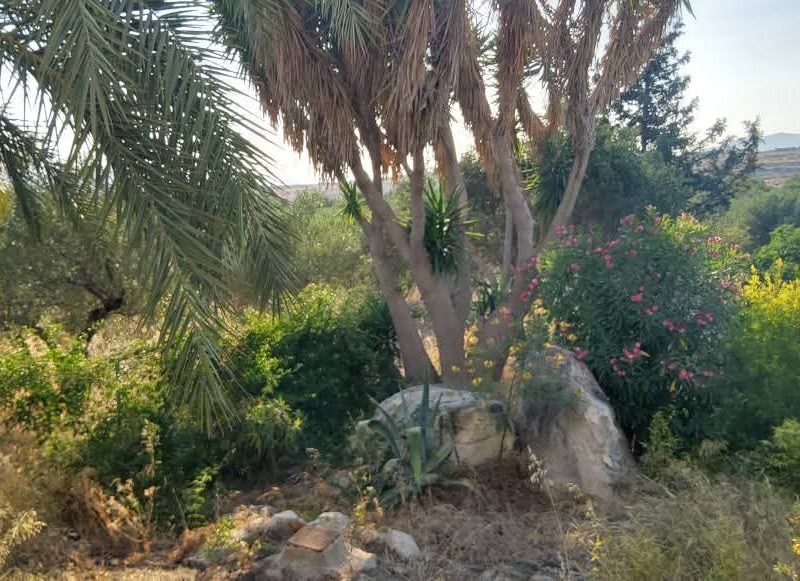 House for sale in Kamilari South Crete with sea view