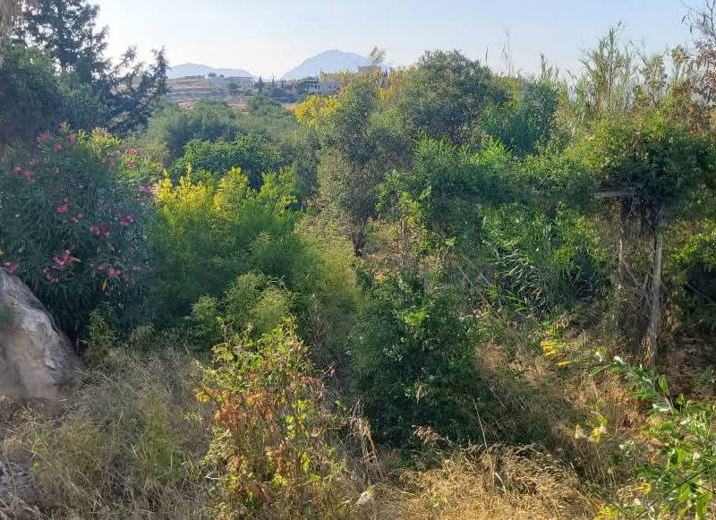House for sale in Kamilari South Crete with sea view