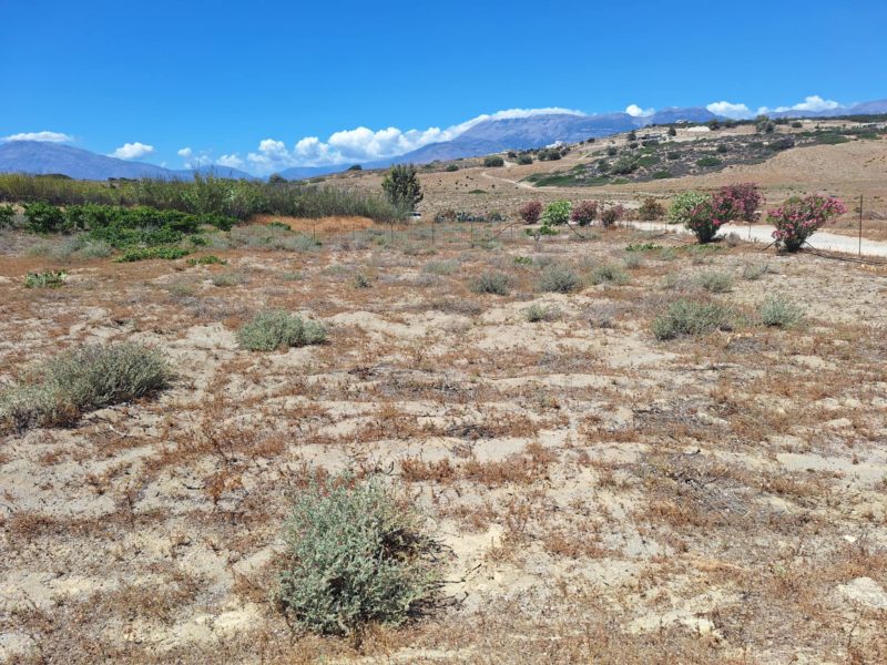 Small Plot for sale at Komos South Crete