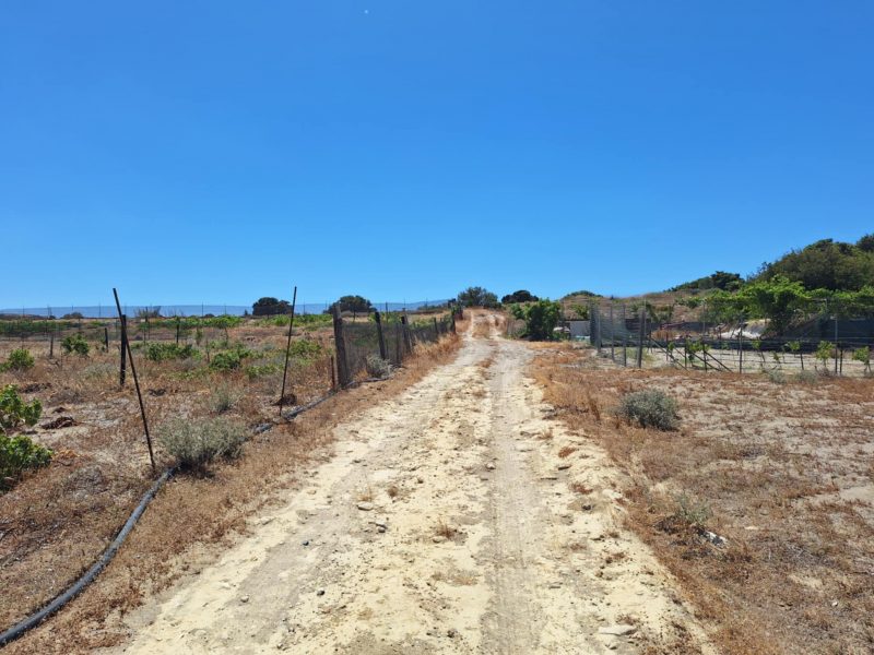 Small Plot for sale at Komos South Crete