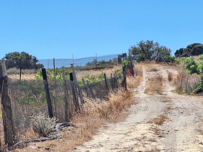 Small Plot for sale at Komos South Crete