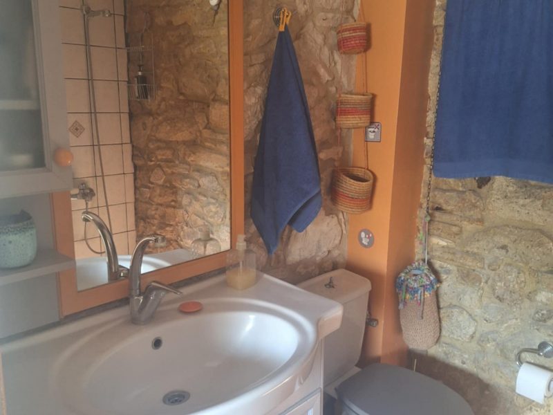House for rent in Pitsidia