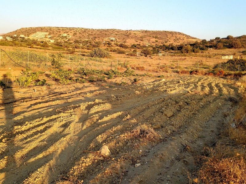 Fenced Plot for sale at Komos Pitsidia