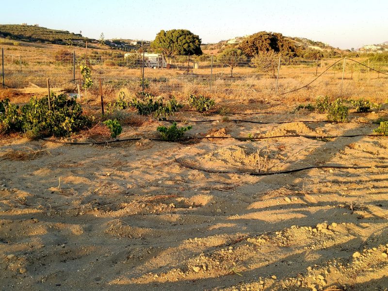 Fenced Plot for sale at Komos Pitsidia