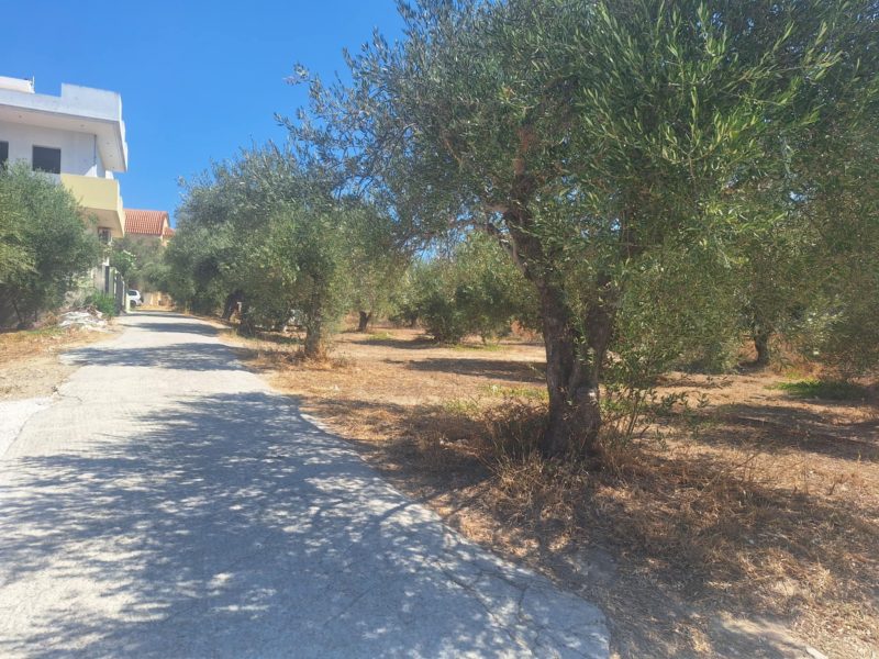 Big Plot for sale at Kapariana - Mires South Crete