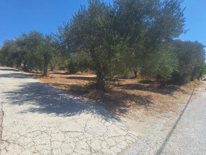 Big Plot for sale at Kapariana - Mires South Crete