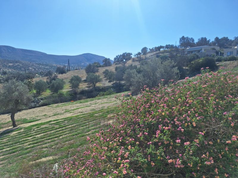 House for rent in Sivas