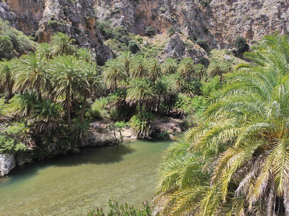 Preveli Palm Forest Beach Tour