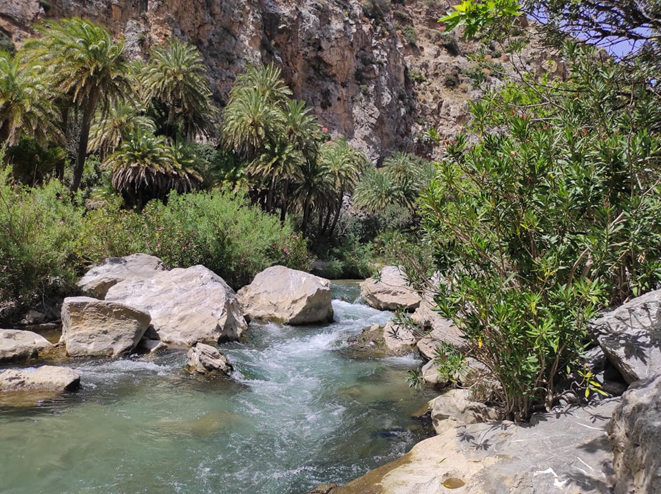 Preveli Palm Forest Beach Tour